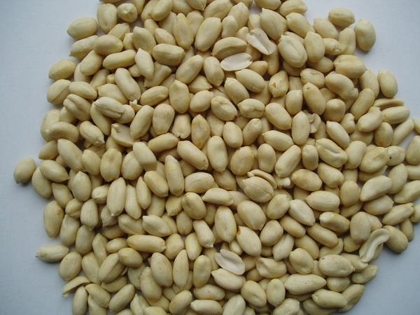 Quality Blanched peanuts for sale