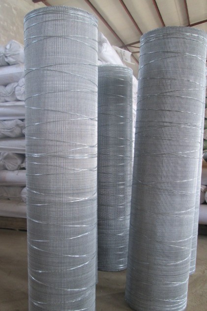 Quality Electro Galv. Wire Mesh-Cut Border for sale
