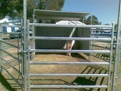 Quality 6 Bar Heavy Cattle Panel for sale