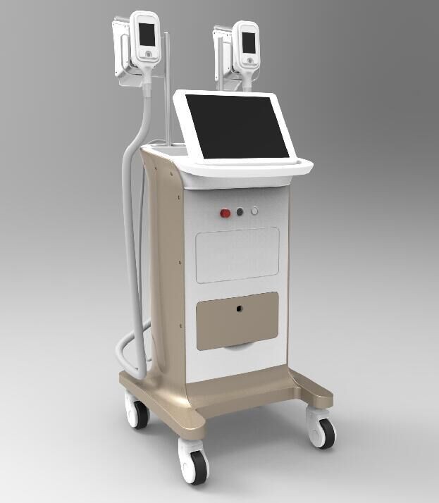 Quality 2 Filters (irona and impurity) Cryolipolysis Body Shaping Slimming Machine for sale