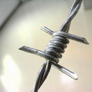 Quality BWG 12*14 Galvanized Barbed Wire for sale