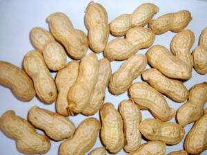 Quality Roasted peanuts for sale