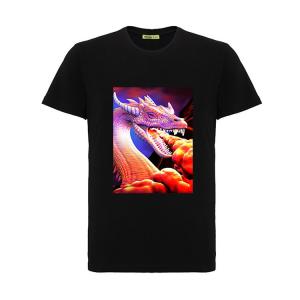 Quality Cool 3D Flip Effect T - Shirt 100% Cotton Soft Material For Printing 3D Artwork for sale