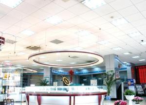 Quality False Ceiling (TY-001) for sale