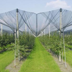 Quality Anti-Hail Net for Trees,Garden,Vegetables and Fruit,3.6-5.0cm oepning,white,green,black for sale