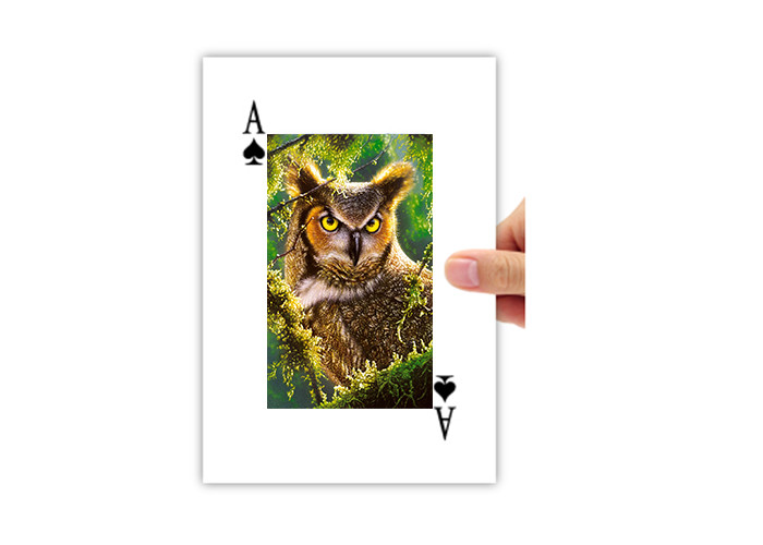 Quality 5.6x8.7cm Lenticular Printing 3D Poker Card 4c On Backside Eco - Friendly for sale