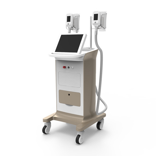 Quality Humanized easy operating system cryolipolysis for sale