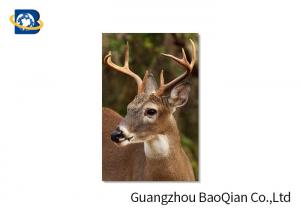 Quality Animal Lenticular Greeting Cards , Deer 3D Greeting Cards For Christmas / New Year for sale