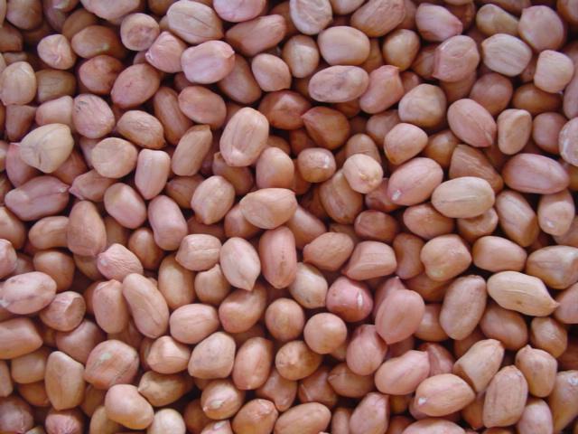 Quality Peanut kernels for sale
