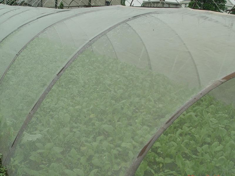 Buy cheap Green House Using Anti-insect screen 40x25 mesh，PE Plant Anti Insect Net from wholesalers