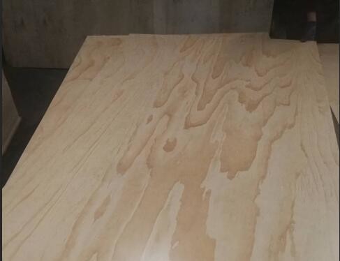Quality 2 Sides / 1 Side UV Coated Plywood Radiata Pine Face And Back Eco Friendly for sale