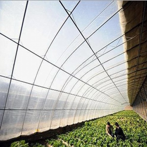 Quality ETFE film,ETFE Agriculture film ,ETFE greenhouse film for sale