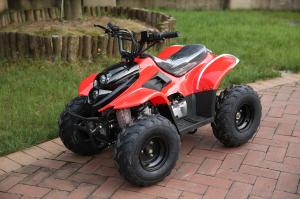 Quality ATV 110cc,125cc,4-stroke,air-cooled,single cylinder,gasoline electric start,New popular M for sale