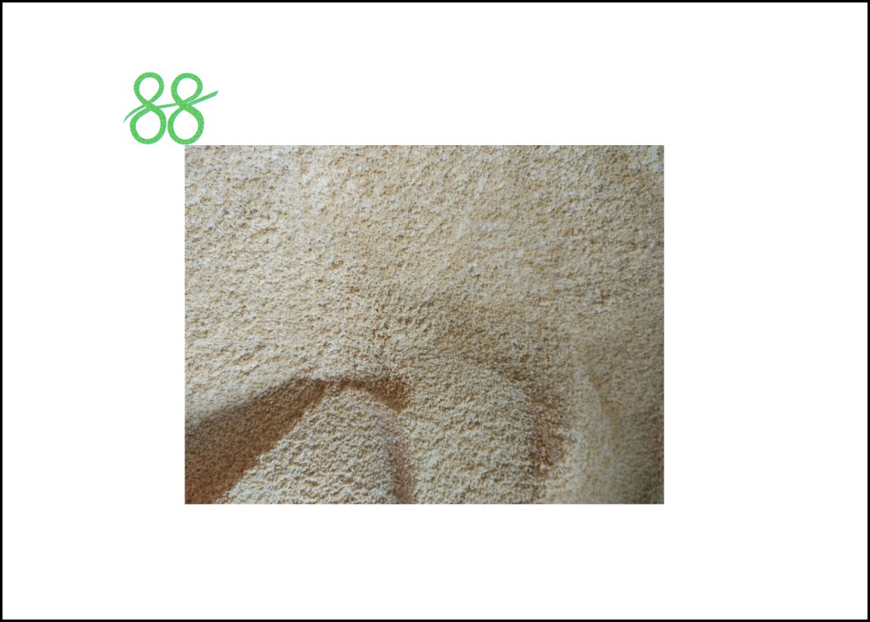 Quality Water Soluble 95% Tc Bixafen Fungicide Cas 581809 46 3 for sale