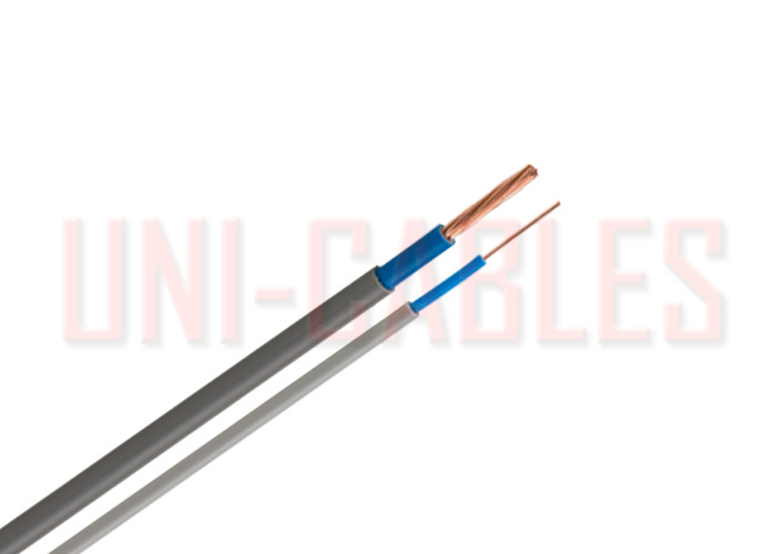 Quality Insulated Sheathed BS 6004 PVC Electrical Cable Industrial Polyvinyl Chloride for sale