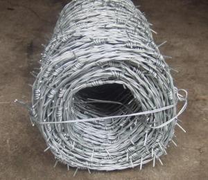 Quality Galvanized Barbed Wire for sale