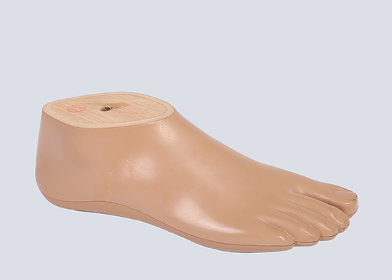 Quality Artificial Sach Prosthetic Foot Polyurethane Stainless 12cm-30cm Size for sale