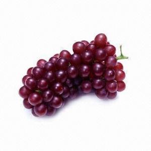 Quality Grape Seed Extract, Reddish Brown Powder for sale