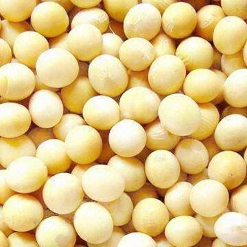 Quality Soybean Extract for sale