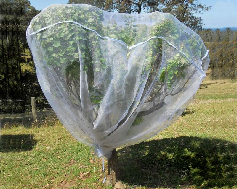 Buy cheap Fruit Tree Net, 20-50mesh,0.5-6.0m,green and white,protect the trees,Agricultura from wholesalers