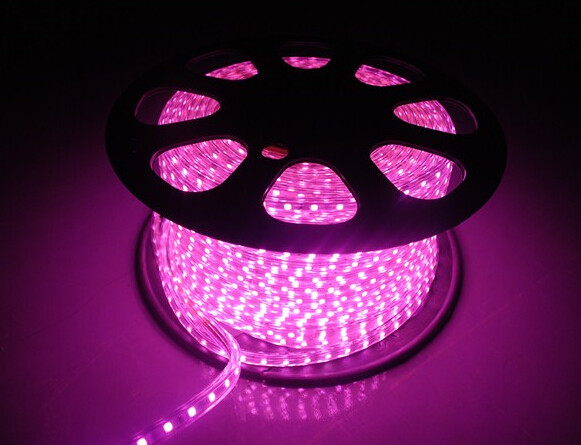 Quality 220V LED Flexiable Strips SMD5050 RGB multicolor Purple color IP65 high brightness for sale