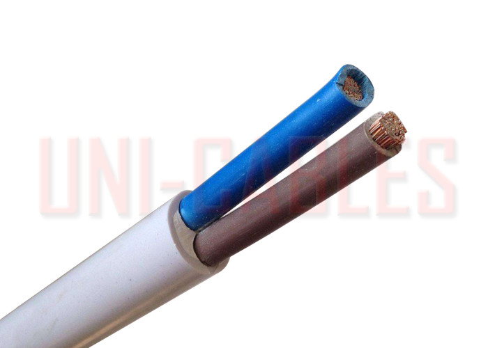 Quality 450 / 750V RVV PVC Electrical Cable Class 2 Copper Conductor Insulated Sheathed for sale