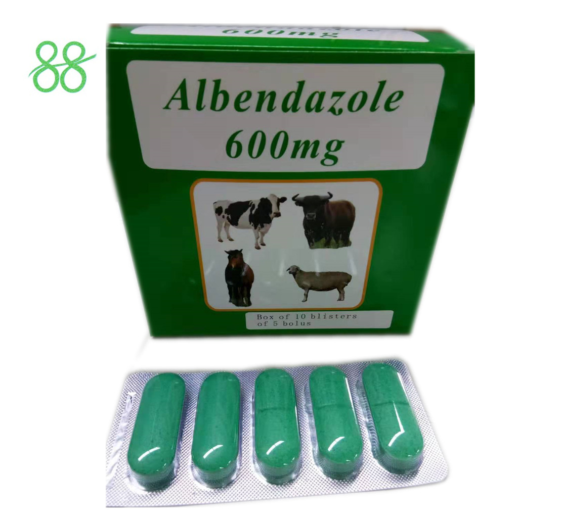 Quality Albendazole 600ml Veterinary Antibiotics for sale
