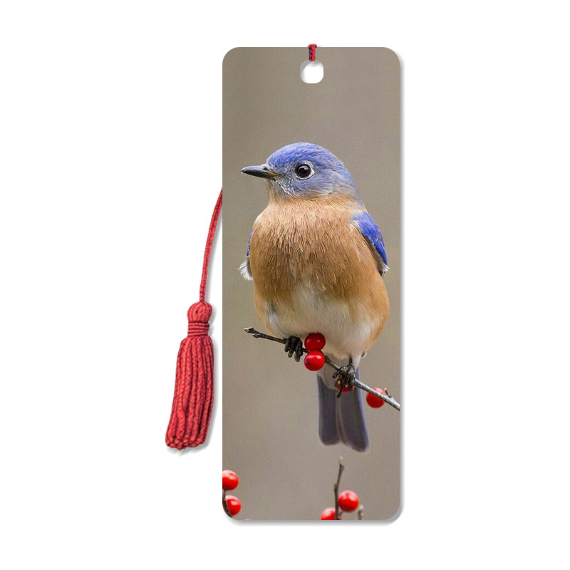Quality Bird Design 3D Animal Bookmarks With Two Side CMYK Printing / Personalised Bookmarks For Schools for sale