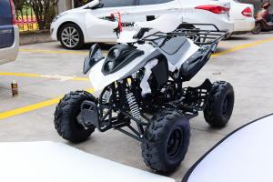 Quality 110cc,125cc ATV gas,4-stroke,single cylinder.air-cooled.Kill start,good quality for sale