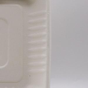 Takeaway box biodegradable disposable food container 600ML lunch box