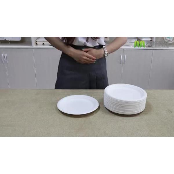 Buy Disposable sugarcane bagasse dishes compostable biodegradable plates at wholesale prices