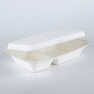 Biodegradable Food Container 2C Box friendly fully takeout tableware