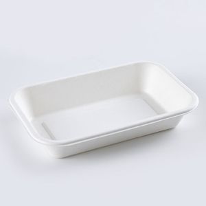Sugarcane Bagasse Takeaway Food Biodegradable Disposable Tray With Lid