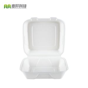5 x 5 Hamburger food packaging disposable hinged container