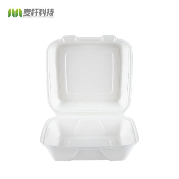 Buy 5" x 5" Hamburger food packaging disposable hinged container at wholesale prices