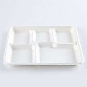 Lunch Biodegradable Disposable Tray Compostable Sugarcane Bassage Serving Use