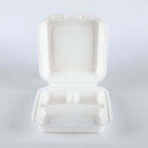 8x8 3 compartment bagasse pulp hinged delivery container box