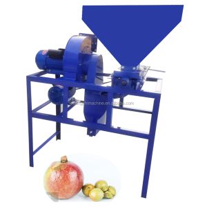 Camellia Seed Shelling Sorting Automatic Food Processing Machine Commercial