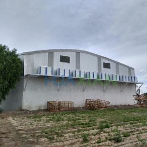 -40 Degree Celcius Air Cooling Frozen Food Deep Freezer