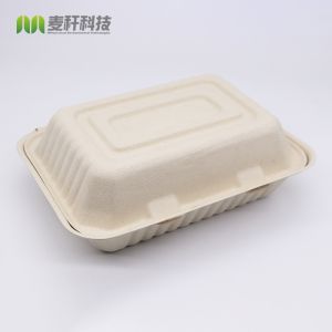 Envases Bagazo Pulp paper disposable bowls and plates