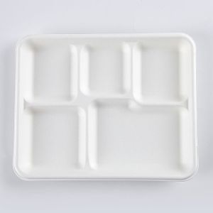 Lunch Biodegradable Disposable Tray Compostable Sugarcane Bassage Serving Use