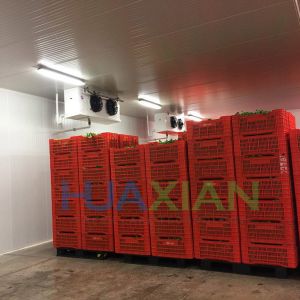 Vegetable/Fruit/Meats Walk in Cooler Type Cold Storage Room with Compressor