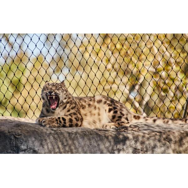 Flexible Stainless Steel Stainless Steel Ferrule Rope Mesh Suspension Bridge