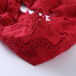 China Underwear Garment Embroidery Lace Fabric on sale