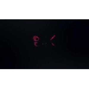 Cold Oil Expeller for Kinds of Cooking Oil