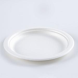 Disposable sugarcane bagasse dishes compostable biodegradable plates