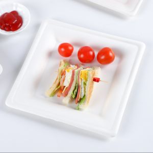Eco Friendly Sugarcane Bagasse Biodegradable Disposable Tray Compostable