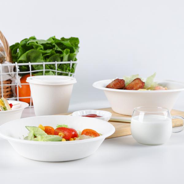 Chinese manufacturer environmental protection tableware eco-friendly tableware