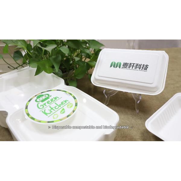 Buy Bio Hotel / Restaurant Clamshell Take Out Containers Disposables Fast Food Paper Box at wholesale prices