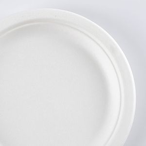 Disposable sugarcane bagasse dishes compostable biodegradable plates